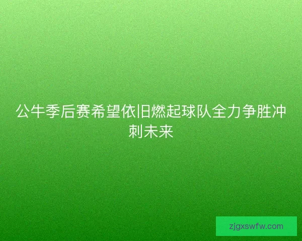 公牛季后赛希望依旧燃起球队全力争胜冲刺未来